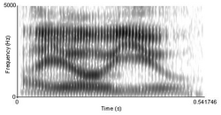 Speech spectrogram