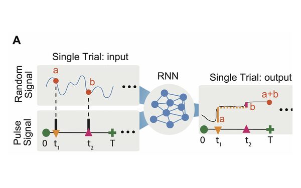 Delayed addition task for an RNN